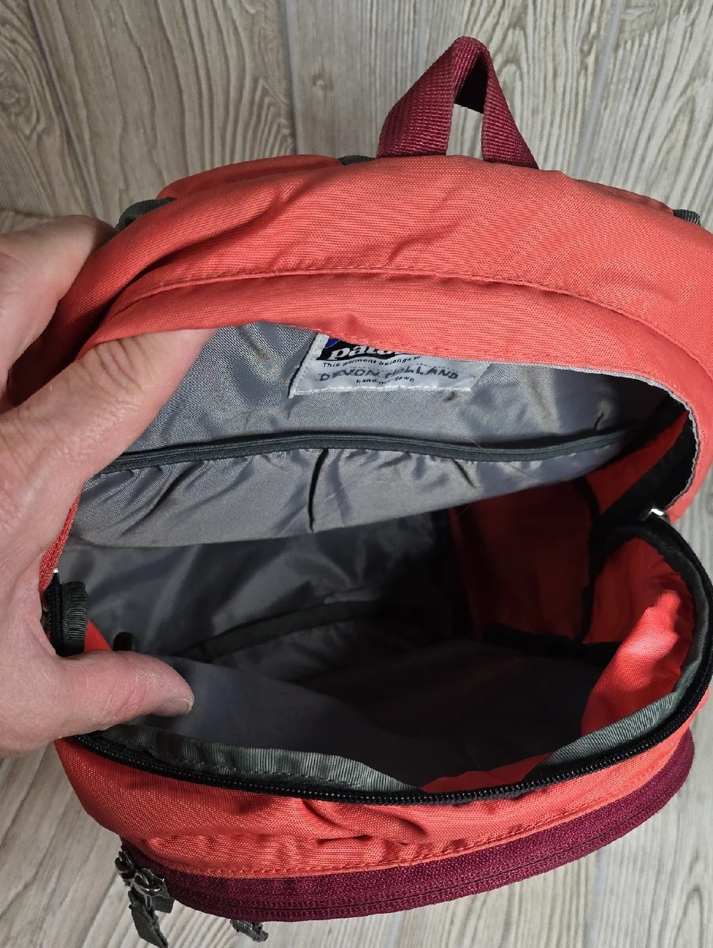Patagonia Poco 12L Backpack